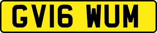 GV16WUM