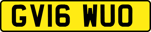 GV16WUO