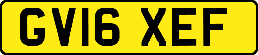 GV16XEF