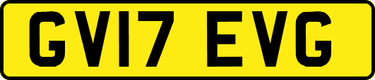 GV17EVG