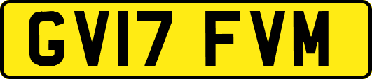 GV17FVM