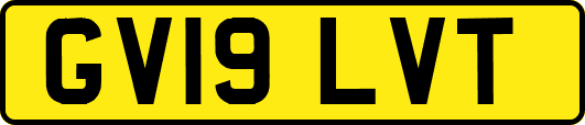 GV19LVT