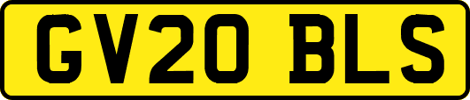 GV20BLS