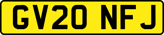 GV20NFJ
