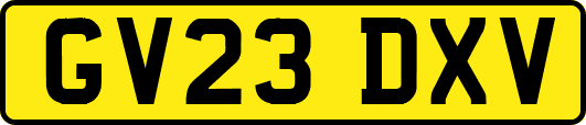GV23DXV