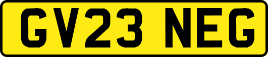 GV23NEG