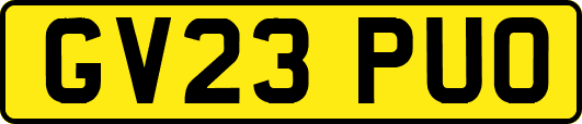 GV23PUO
