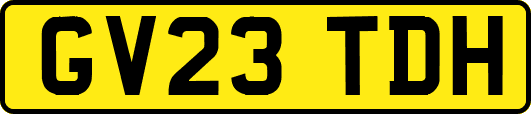 GV23TDH