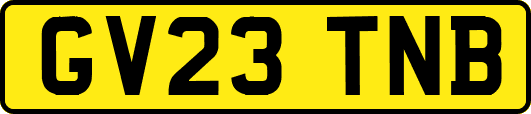 GV23TNB