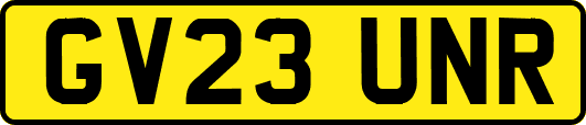 GV23UNR