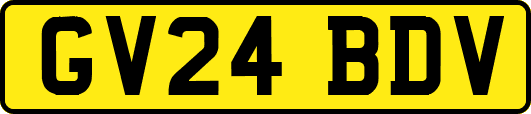 GV24BDV
