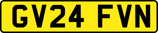 GV24FVN