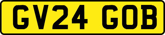 GV24GOB