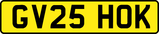 GV25HOK