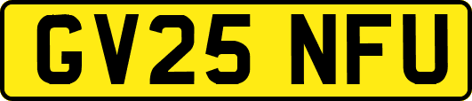 GV25NFU