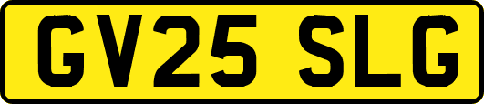 GV25SLG