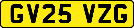GV25VZG