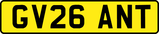 GV26ANT