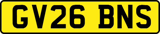 GV26BNS