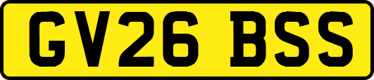 GV26BSS