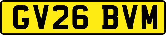 GV26BVM