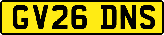 GV26DNS