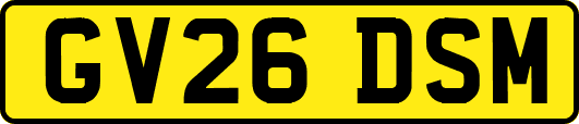 GV26DSM