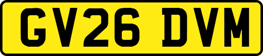 GV26DVM