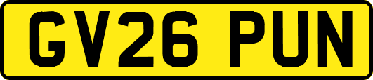 GV26PUN