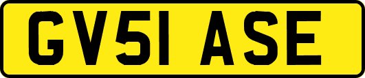 GV51ASE