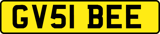 GV51BEE