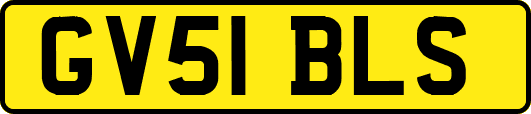 GV51BLS