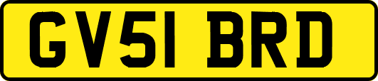 GV51BRD