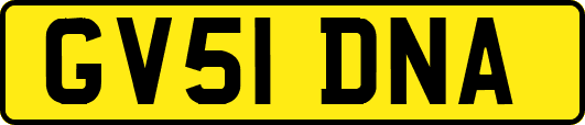 GV51DNA