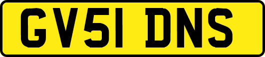 GV51DNS