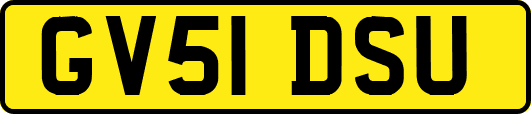 GV51DSU