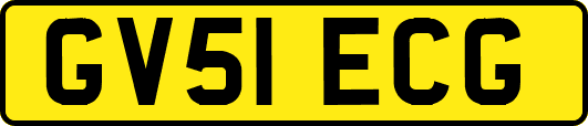 GV51ECG