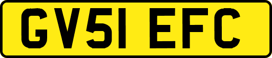 GV51EFC