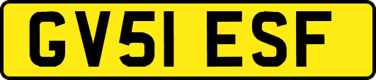 GV51ESF