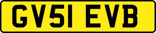 GV51EVB