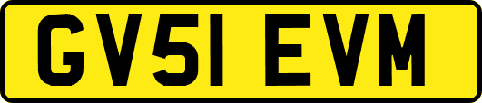 GV51EVM