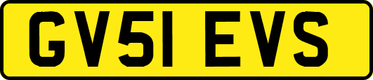 GV51EVS