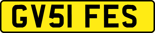 GV51FES