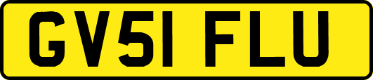 GV51FLU