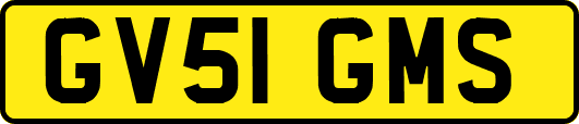 GV51GMS