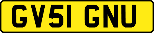 GV51GNU