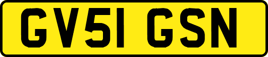 GV51GSN