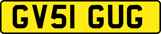 GV51GUG