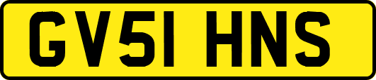 GV51HNS