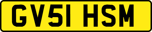 GV51HSM